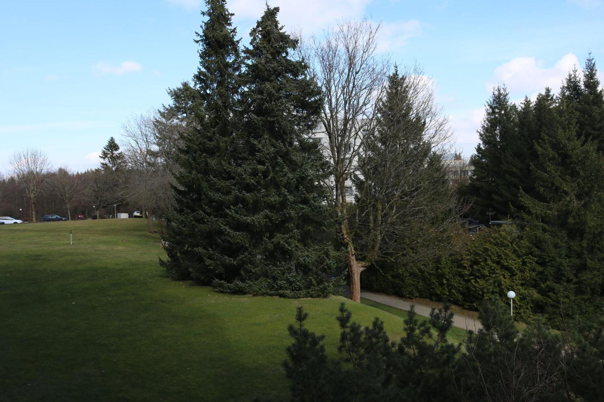 Natur Suite Goslar Kültér fotó